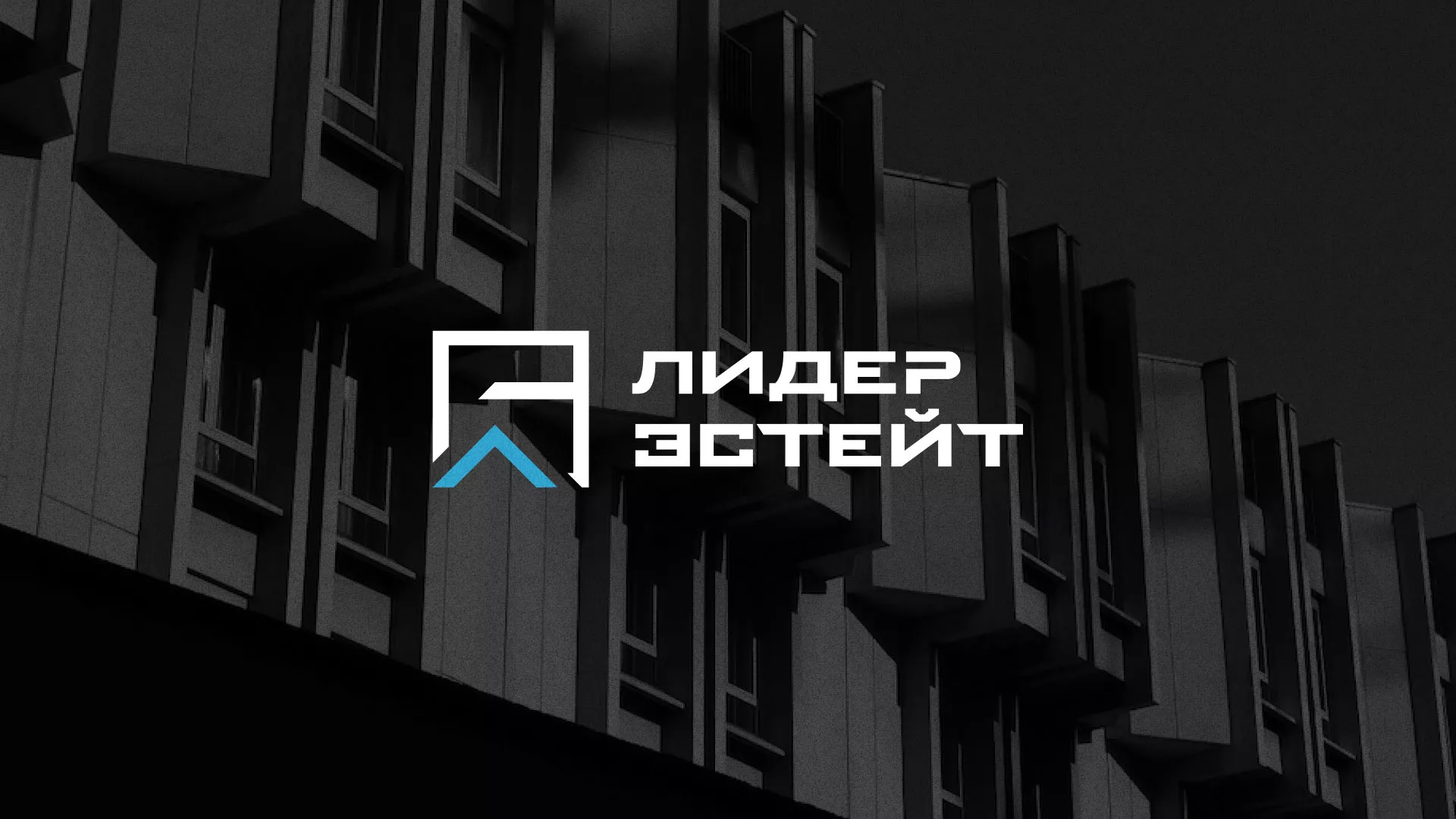Разработка логотипа агентства недвижимости «Лидер Эстейт» в Орле